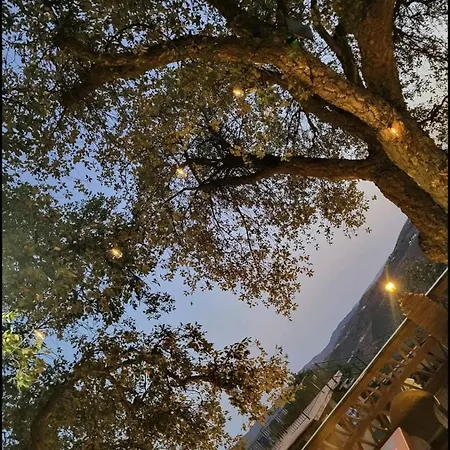 Paraiso Andaluz Villa *